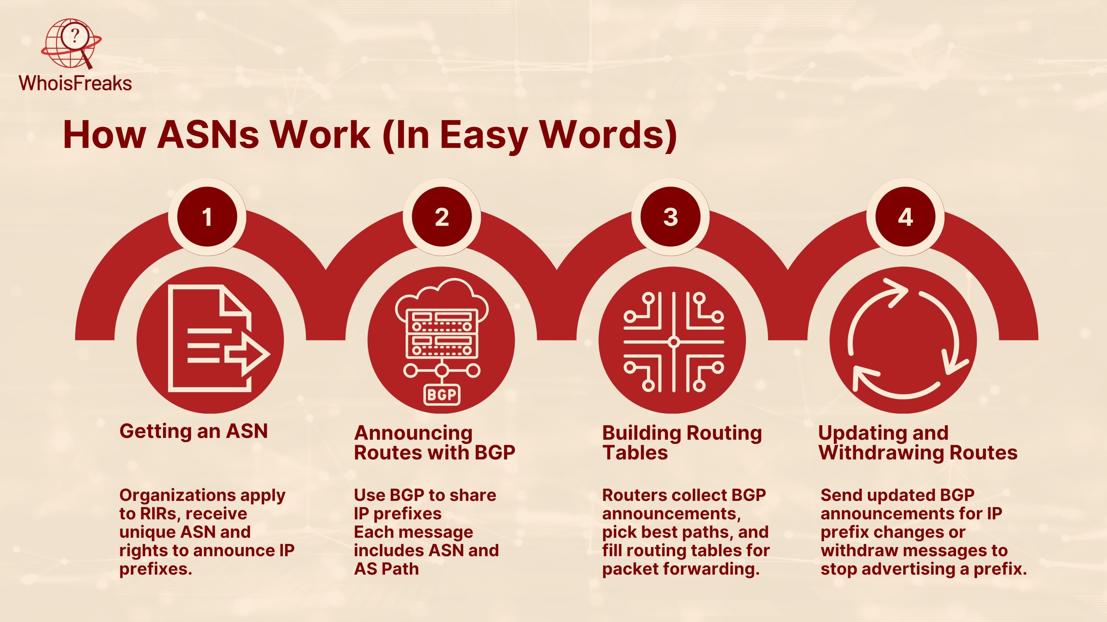 How ASNs Work (In Easy Words)
