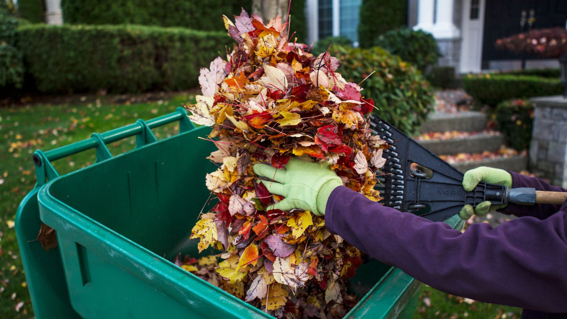 Offer Cleaning/Service to Family For Clergy Appreciation Day