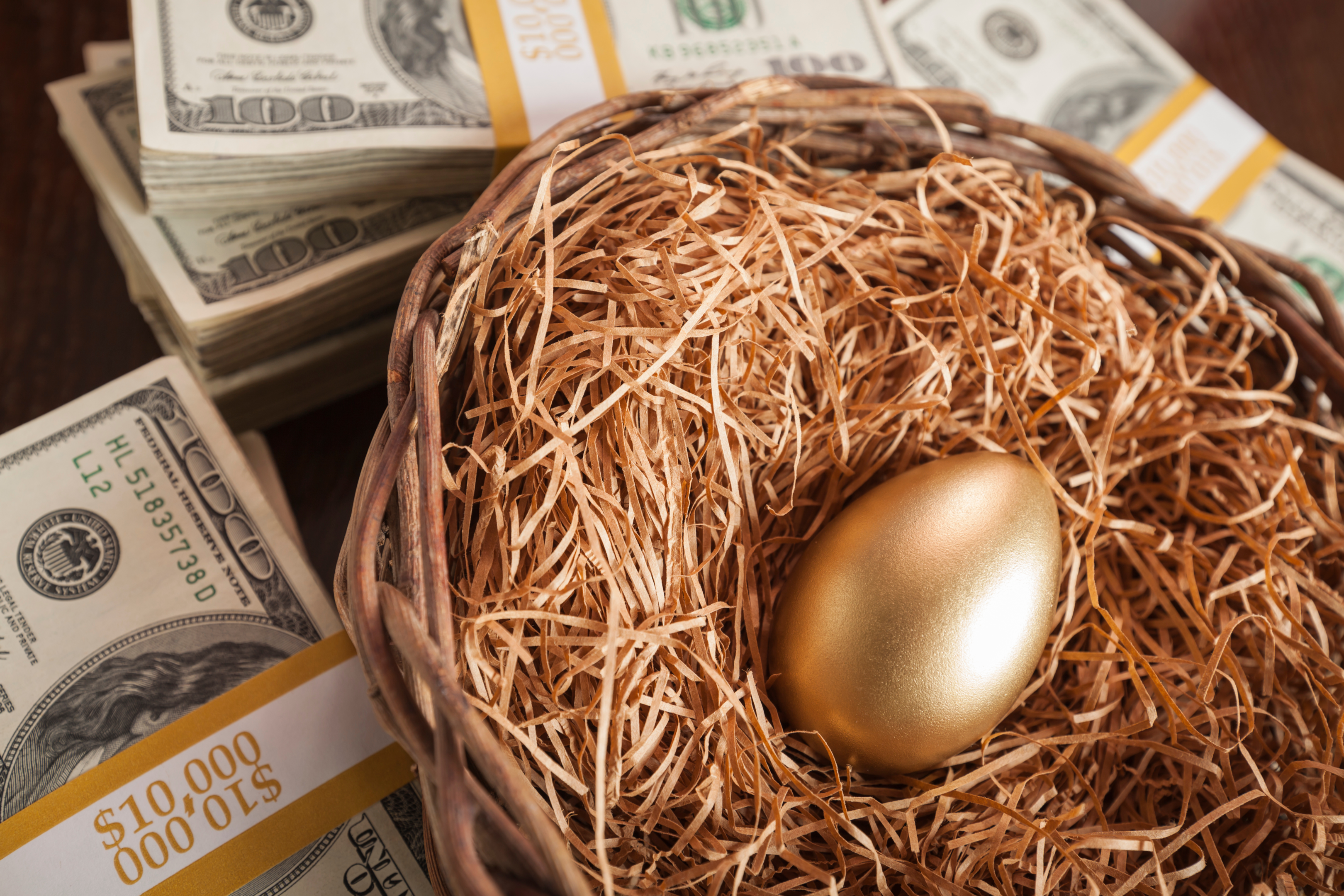 keogh plan money and golden egg in a nest