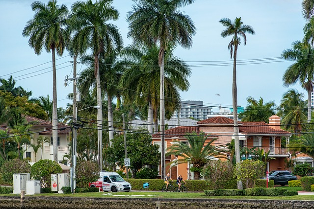 neighborhood, palm trees, bicycling, central Florida, purchasing apartments, FL homeowners, condominium, Orlando Florida, rising home values