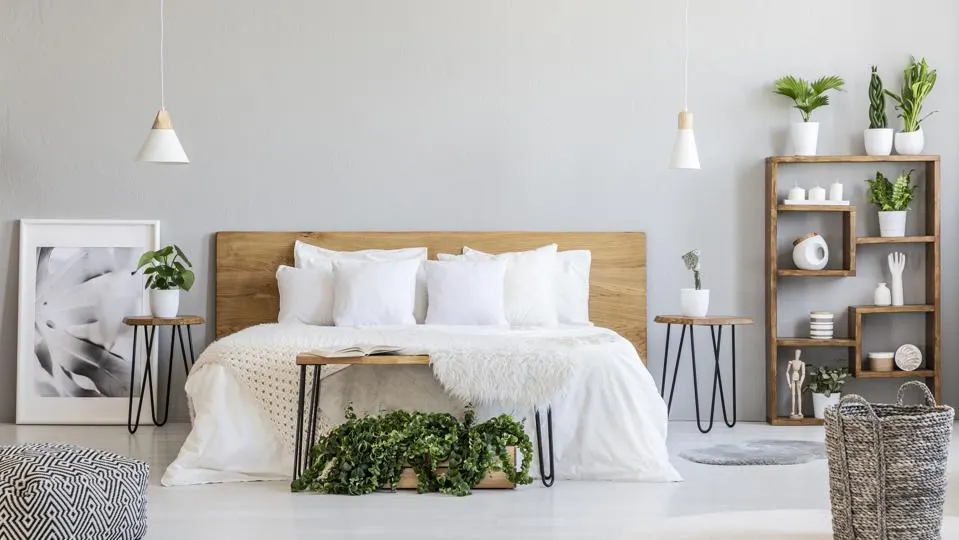 Plants: A affortable bed Decorate Option