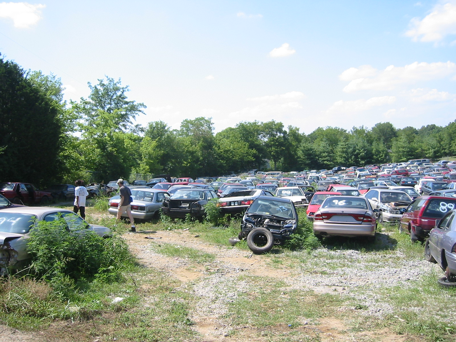 A junkyard with different buyers in the background