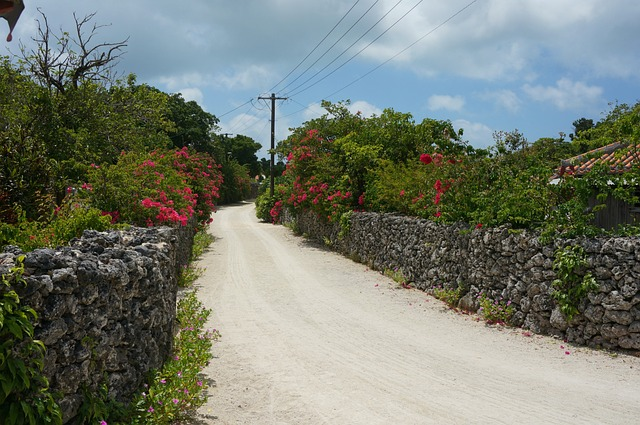 Japan, Okinawa - a Landscape view 