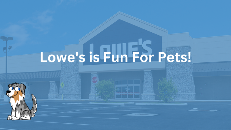 Lowe's is Fun For pets!
