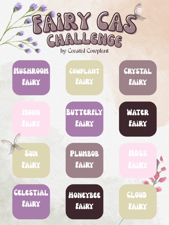 Fairy CAS Challenge
