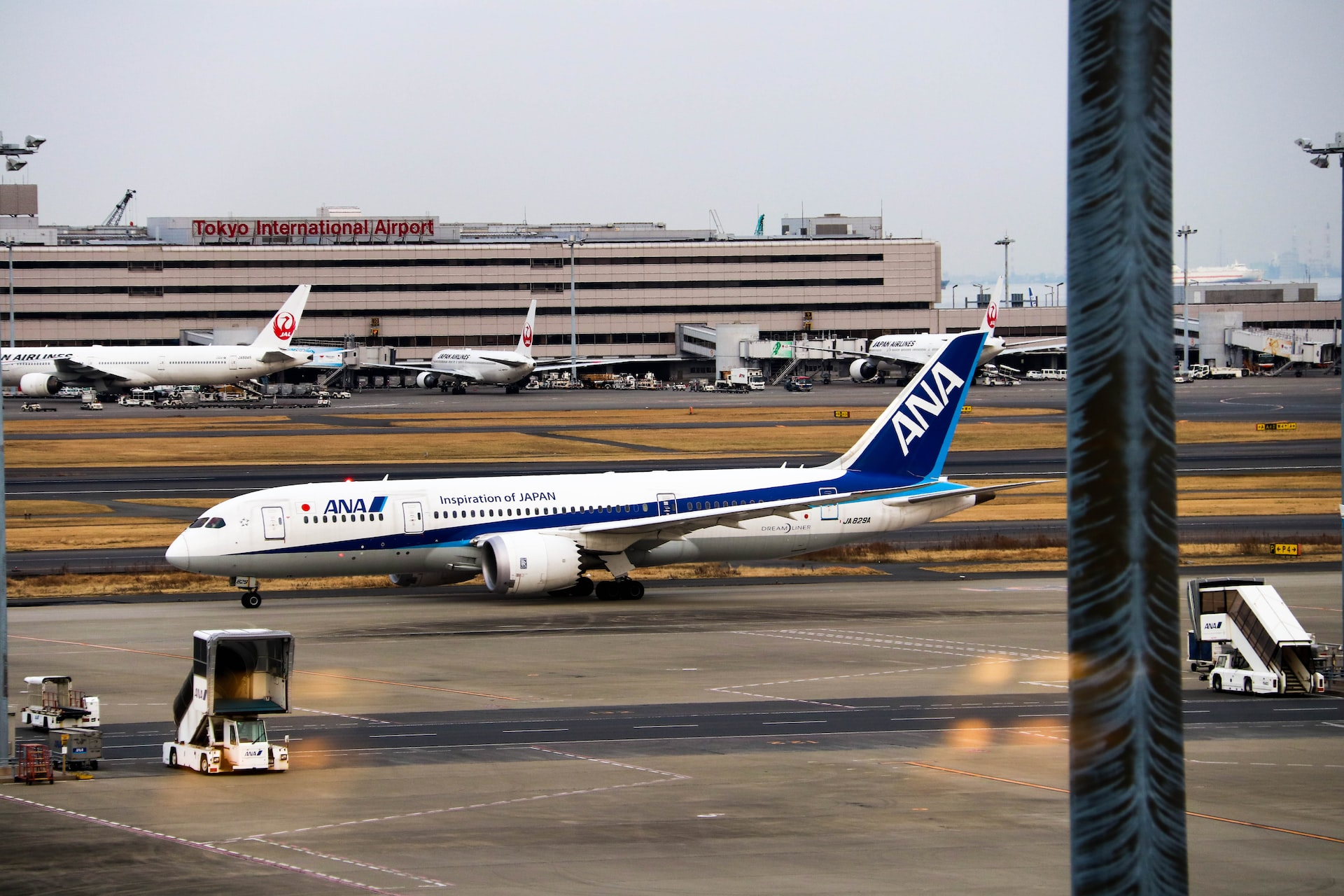 All Nippon Airways taxiing on an airport taxi route.