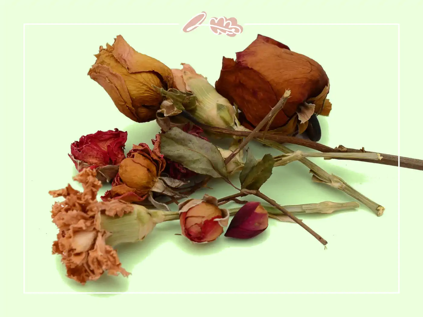 A small collection of dried roses and other flowers in red, pink, and yellow hues, delicately arranged on a light green background. Fabulous Flowers and Gifts.