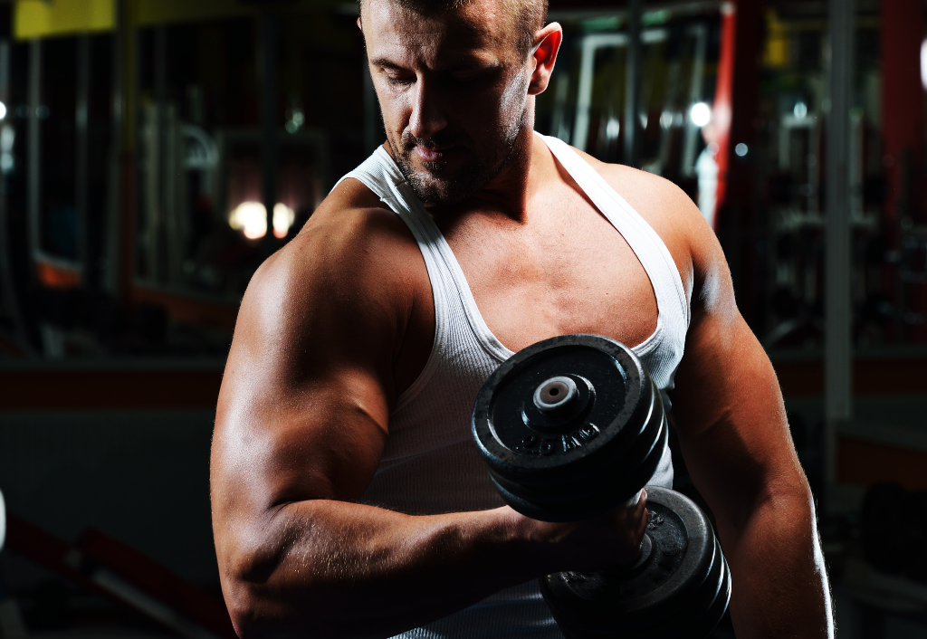 Endomorfo. Fonte: Canva.