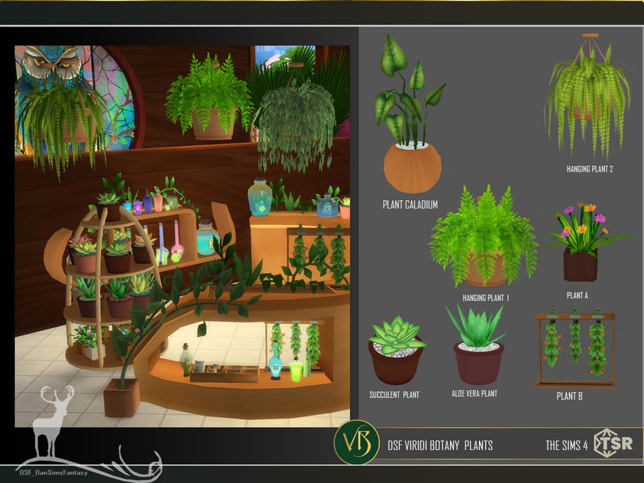 Viridi Botany Plants