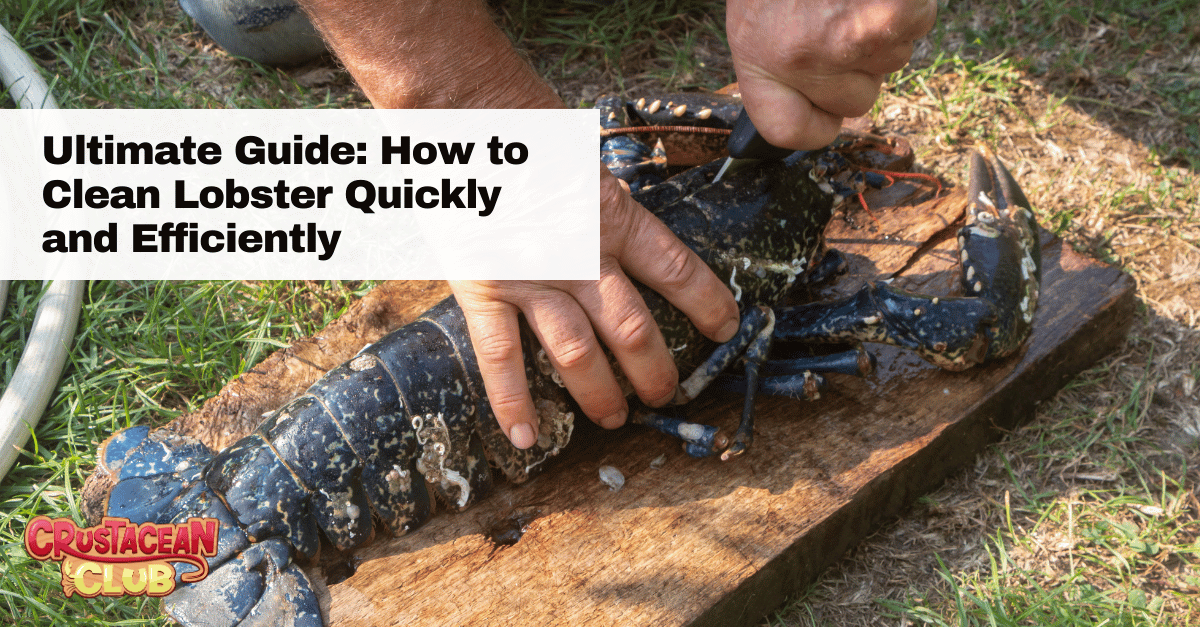 Ultimate Guide: How to Clean Lobster Quickly and Efficiently 