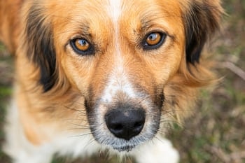 treat eye infections, untreated eye infections, saline eye drops