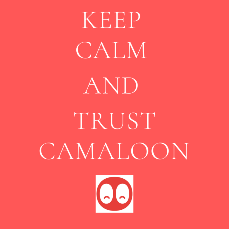 camaloon poster