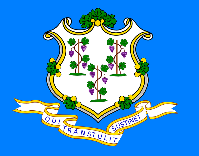 connecticut, state, flag, business loans in connecticut, business forward