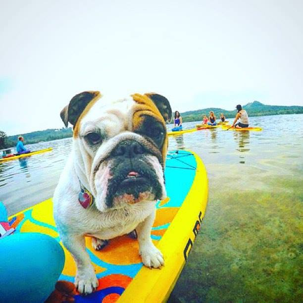 inflatable sup board is all around sup boards with kayak seat in the most stable board