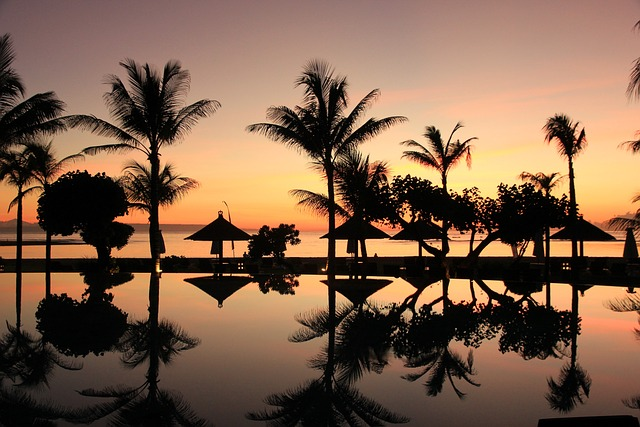 bali, palm trees, sunset - affordable wellness retreat