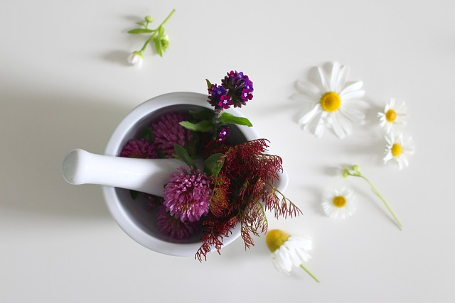 medicinal flower, nature, remedies