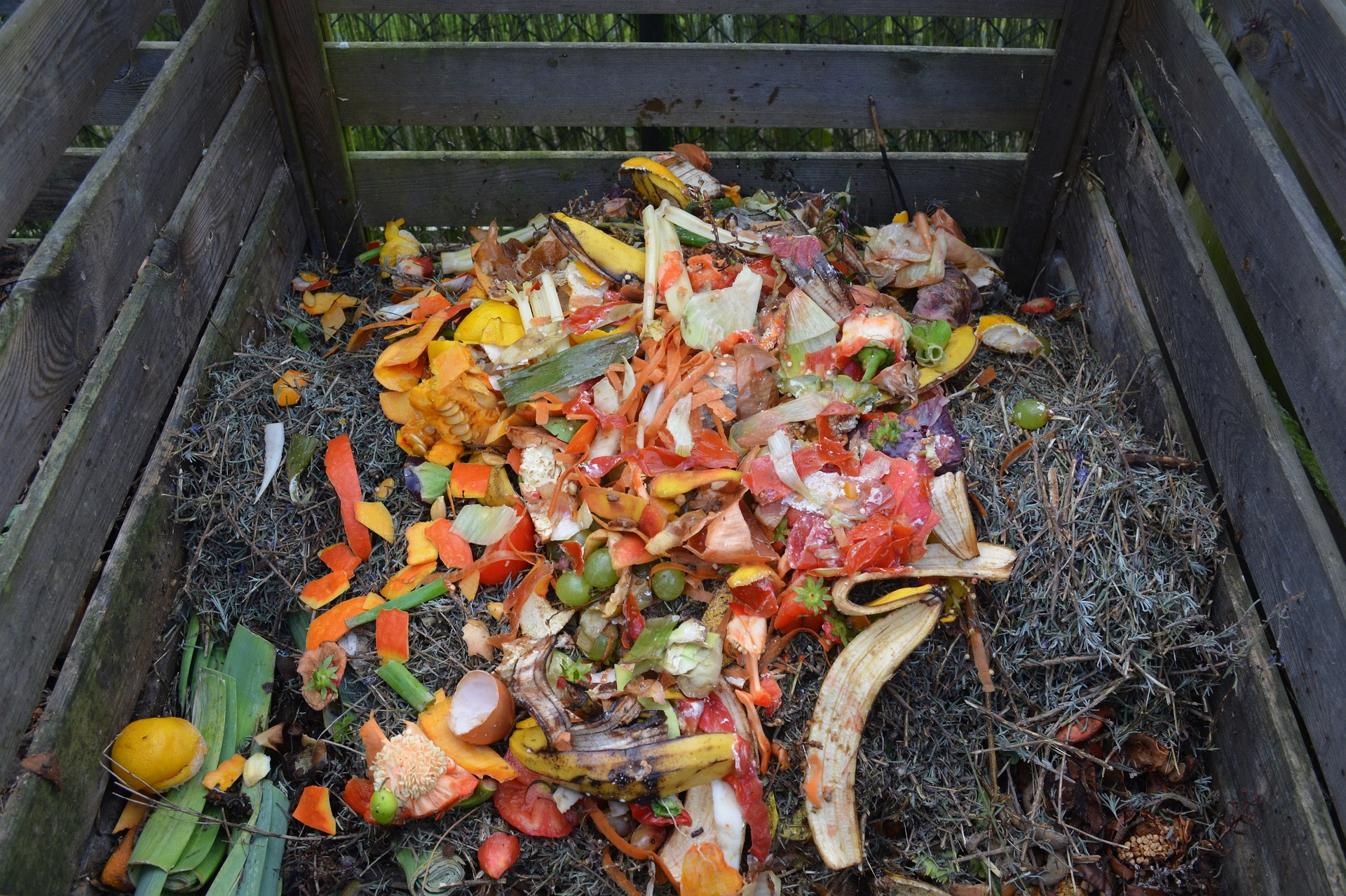 Compost Piles are Mainly Made Up of Organic Waste that Comes from the Kitchen or Garden
