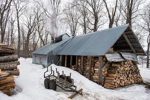 Sugar house operation during the CT maple sugar season