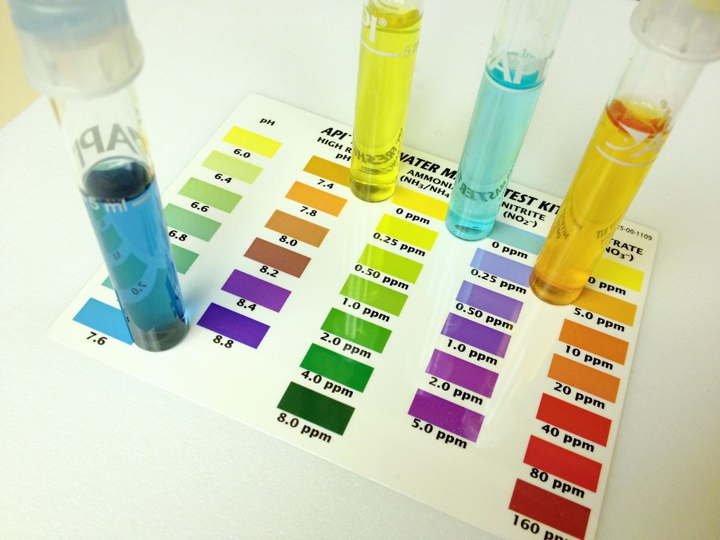 Test your aquarium water