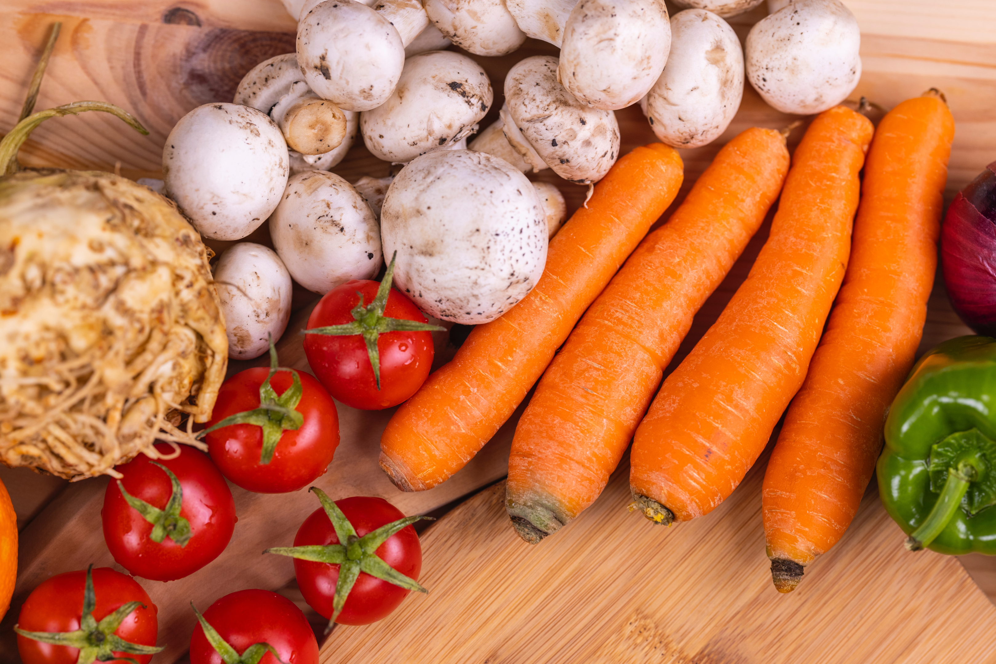 Nutritious foods for a senior Boston Terrier.