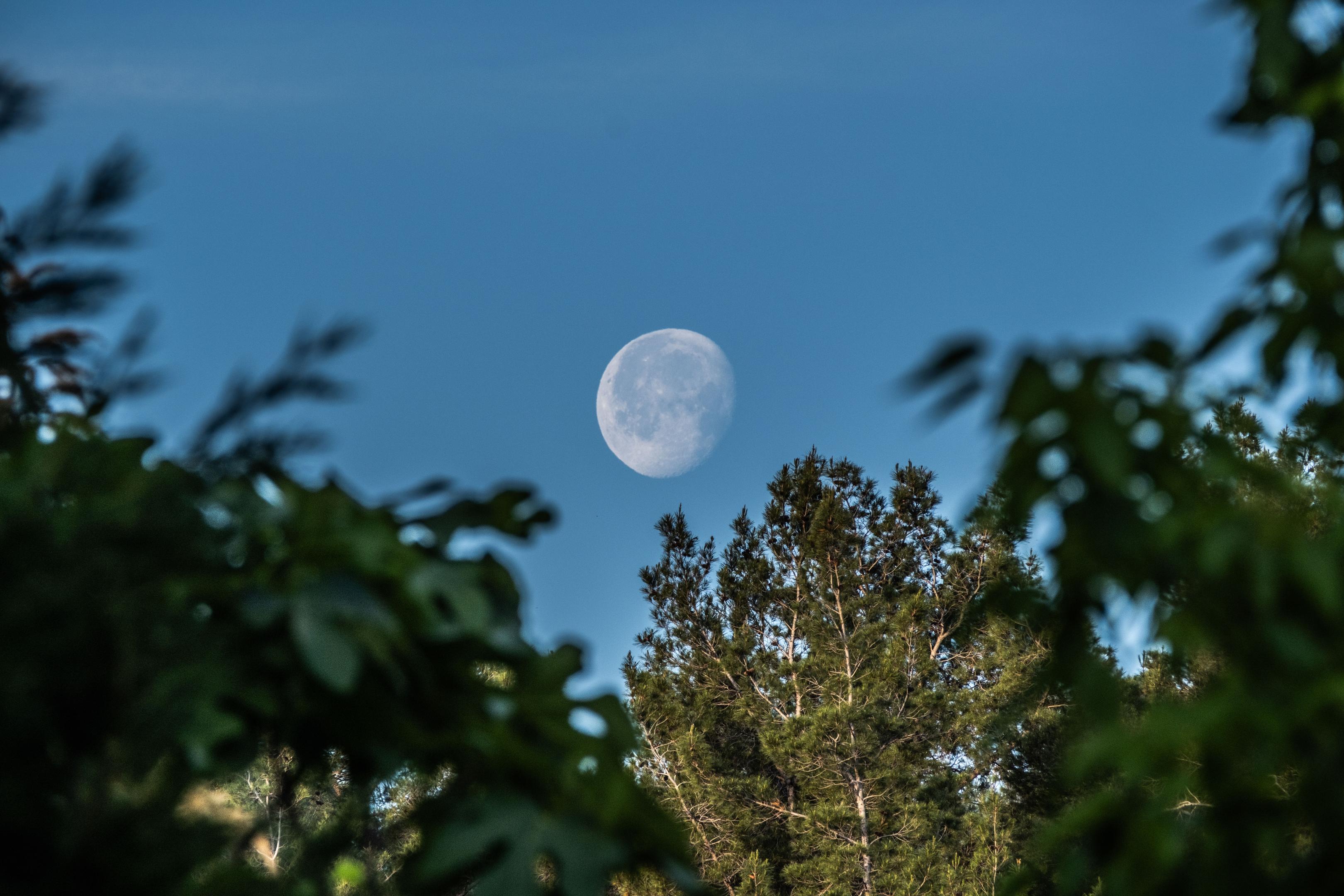 the moon and human nature