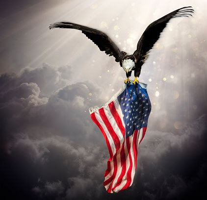 An Eagle Flying The American Flag