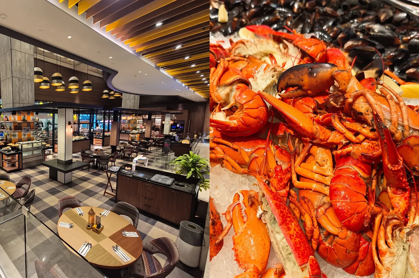Split-screen image showing a modern hotel buffet dining room layout on the left and a close-up of fresh cooked lobsters and mussels on ice on the right.