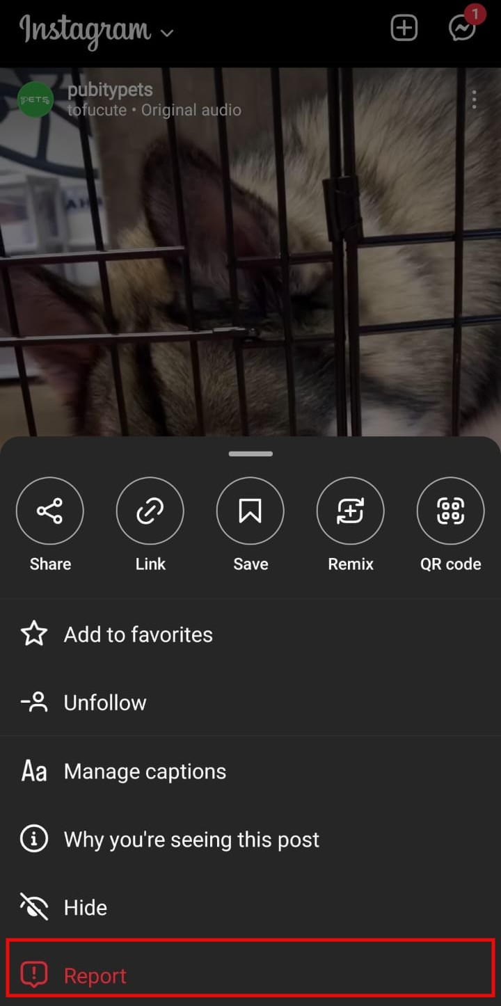 reporting a post in Instagram
