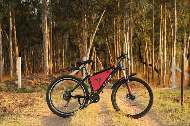 A new electric bike with strong front and rear wheels.