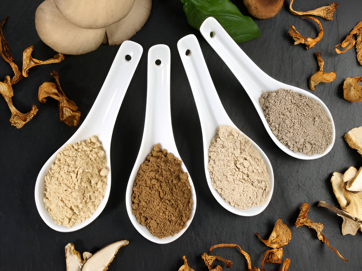 4 different mushroom powders on white spoons