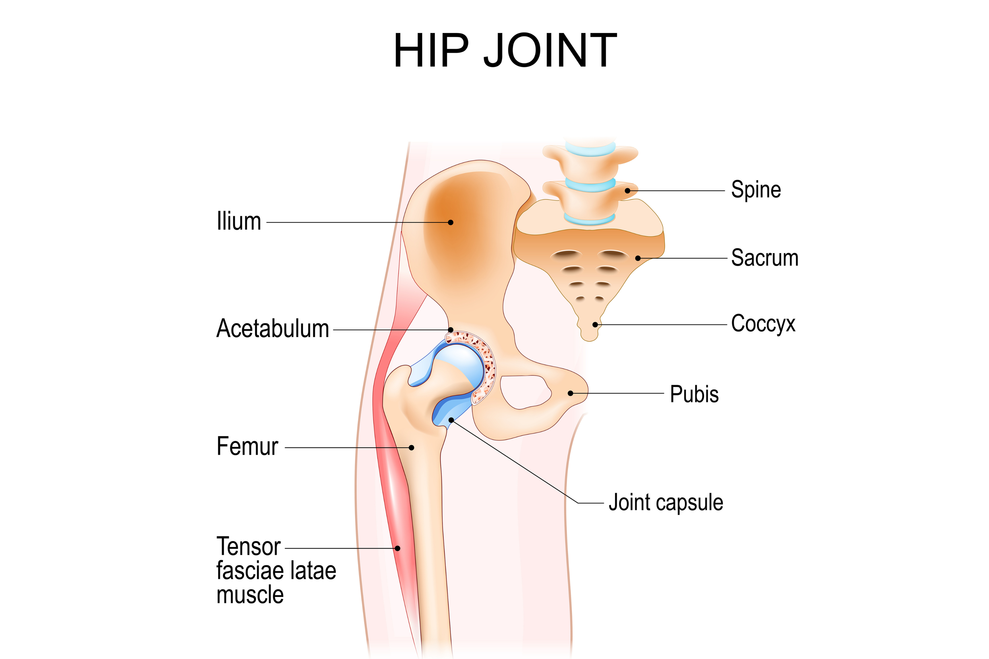 hip arthritis treatment