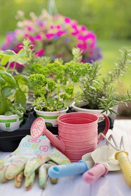 planting, spring, herbs, nature, gardening, plants, tools, gardening tools, seedlings