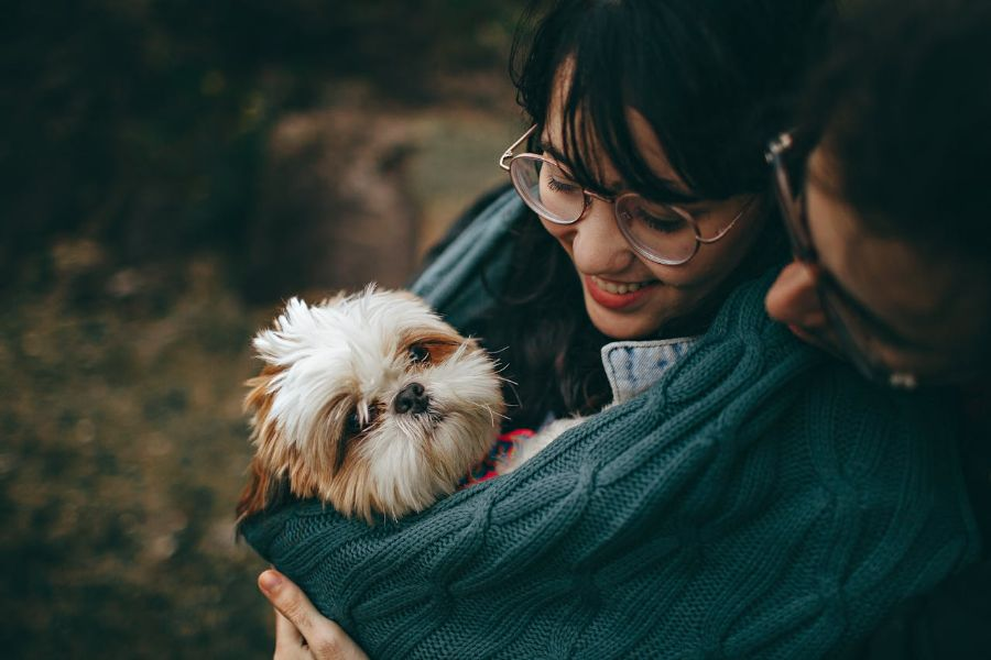 Couple Holding A Shih Tzu Puppy