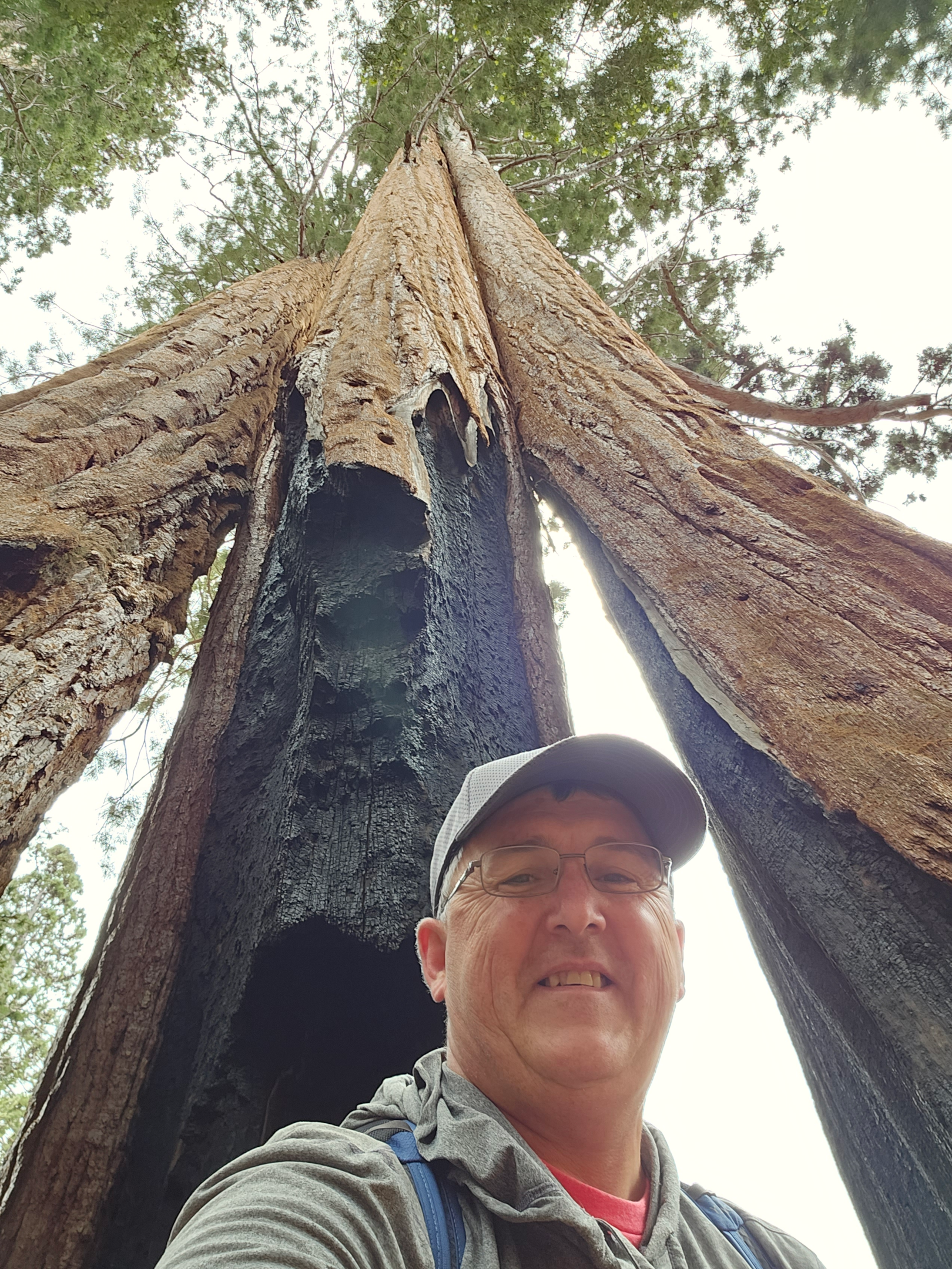 Man in front of Giant burnt out Sequoia