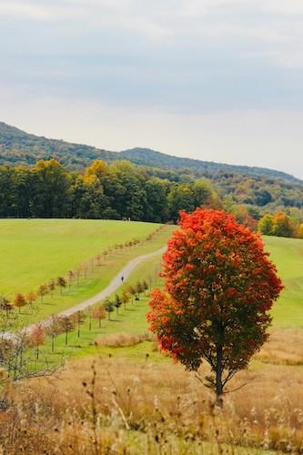 Hiking trails passing through Storm King Art Center in the Hudson River Valley
