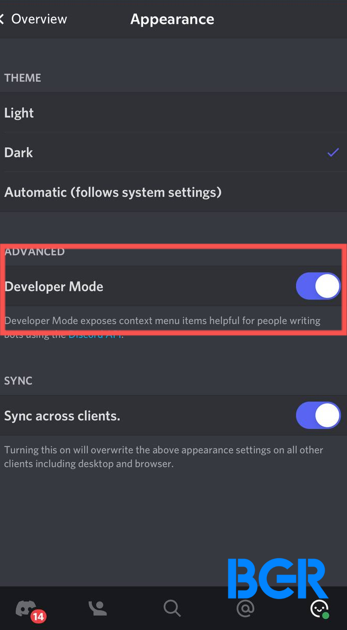 Report Discord User on Mobile: Developer Mode