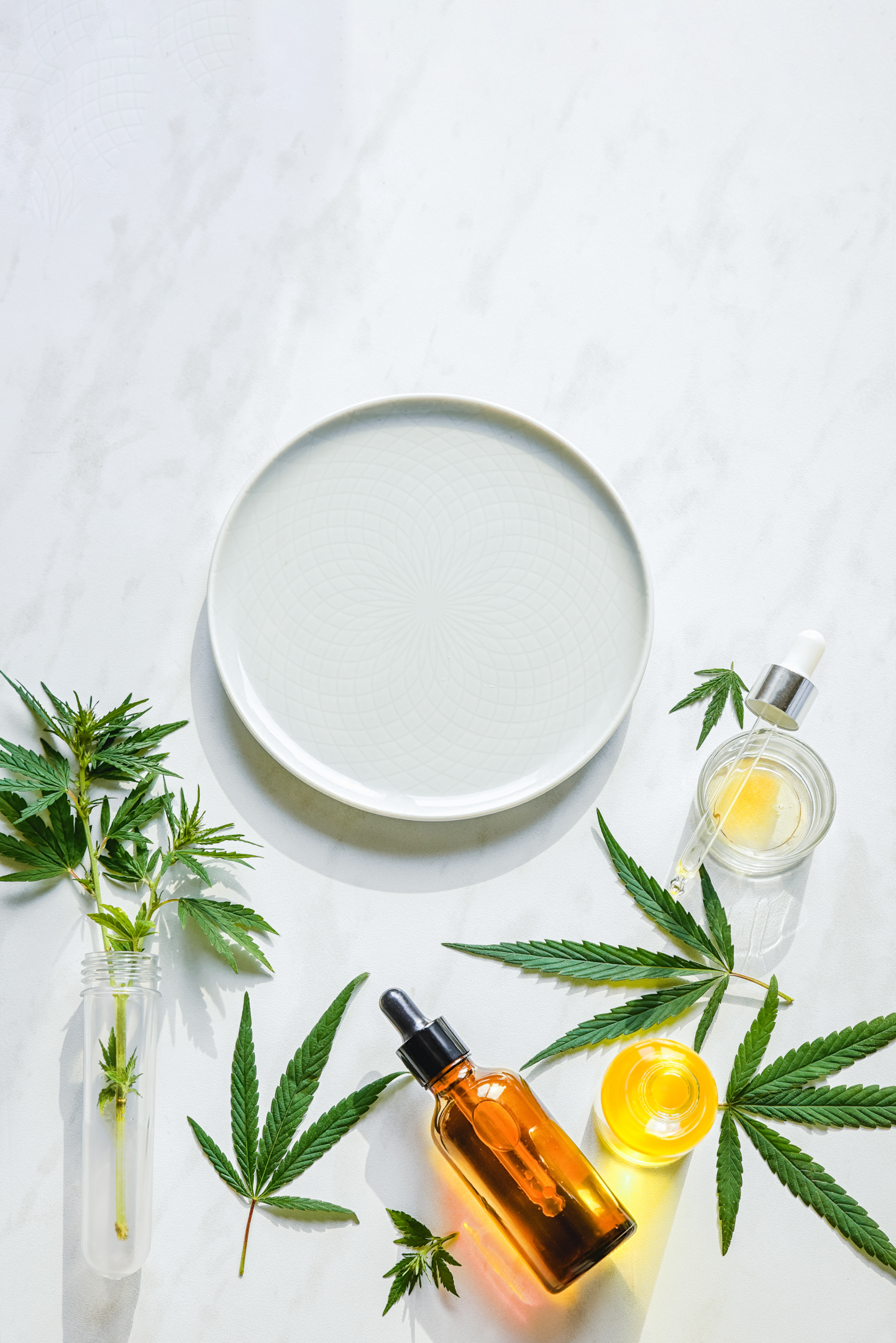 Whether Delta 8 edibles, CBN products, Delta 9 vapes or edibles, CBD tinctures or creams, or any other Delta 8 product, they're not meant to treat or cure chronic pain or other health conditions similar or more severe than chronic pain.