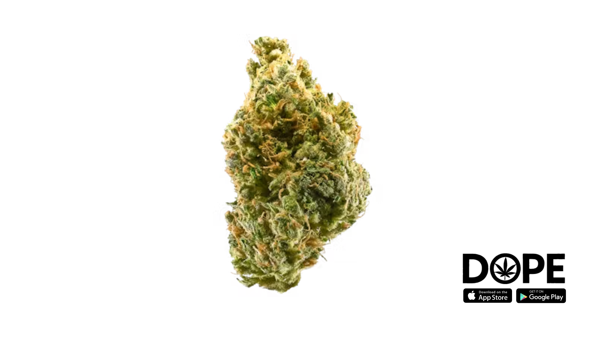 An overview of the Tangie strain with vibrant colors and cannabis plants.