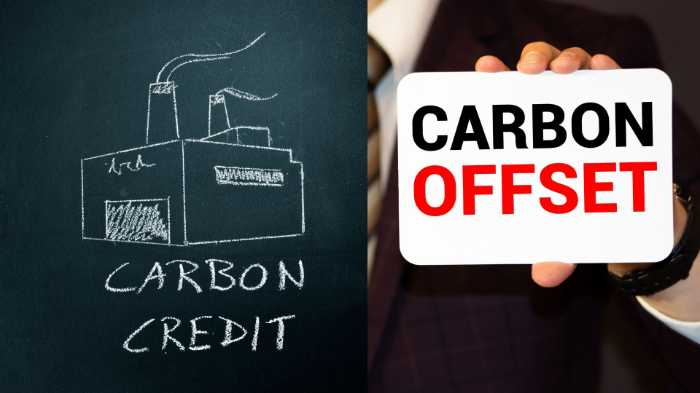 Carbon Credits vs Carbon Offsets