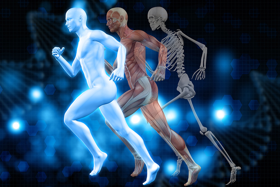 Image depicting a group of bones radiating a healthy and vibrant glow, symbolizing improved bone health. 