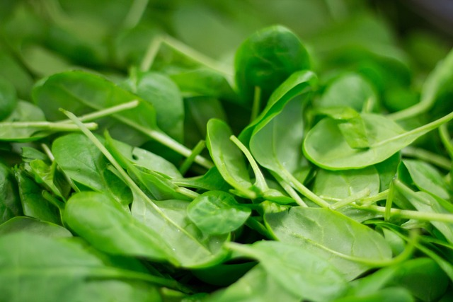 spinach, plant, nature