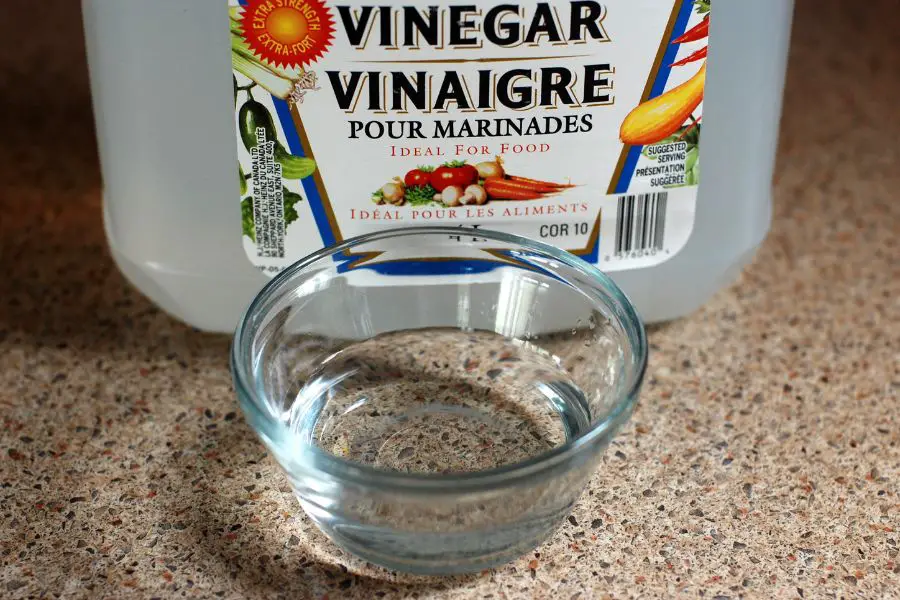 Ants Beware Unveiling the Truth About Vinegar's AntKilling Power