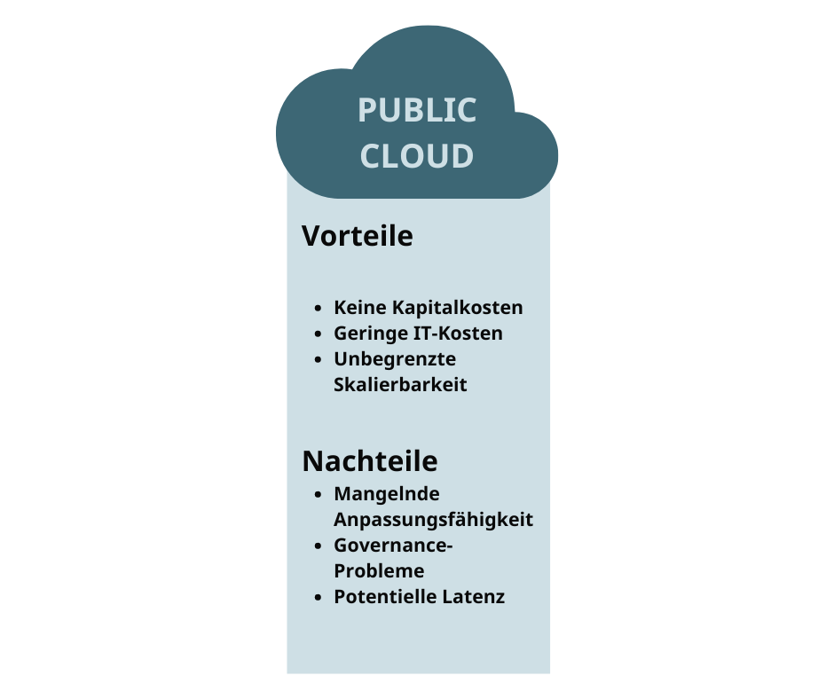 Vor- und Nachteile Public Cloud