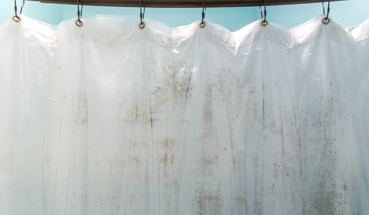 Closed white shower curtian with mould on it