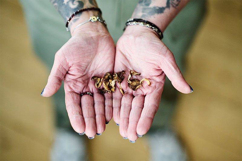 Dried Mushrooms In Hands For Smoking