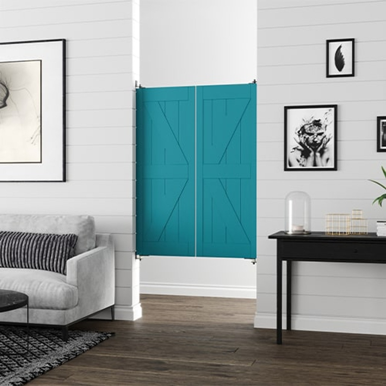 Interior Barn Doors