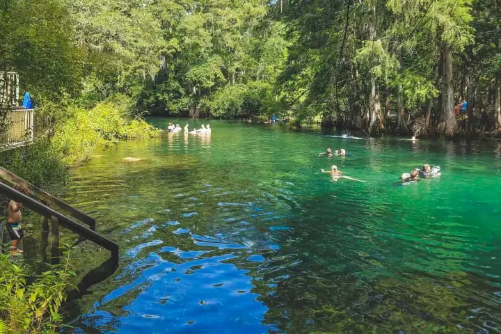 Kayaking St. Johns River