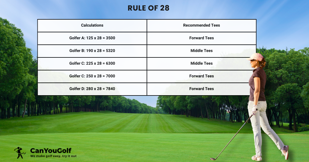Which tee box for seniors