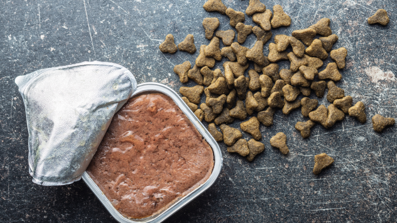 e50178f4 f72a 42e0 baf2 e5dc4703d641 How Much Protein is in Dog Food? Exploring Canine Nutrition!
