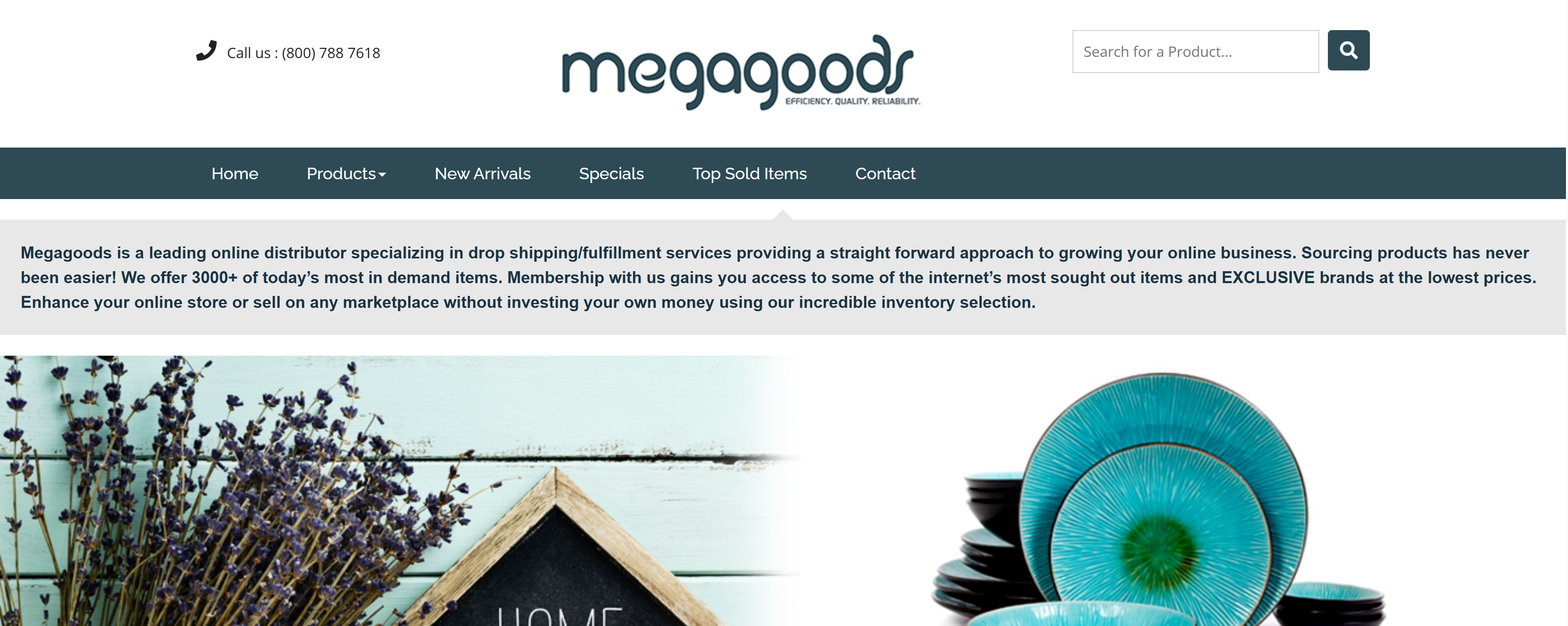 dropshipping shoes with sell the trend and megagoods